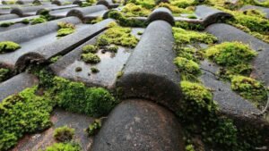 Chez Gabard Couverture, chaque toit que nous prenons en charge devient le reflet d’un engagement : celui de l’excellence, de la rigueur et du savoir-faire artisanal au service des biens les plus exigeants. Basée à Challans, notre entreprise s’est imposée comme une référence de confiance auprès d’une clientèle attachée à la qualité, à la discrétion et au respect absolu des standards les plus élevés. Que vous soyez propriétaire d’une demeure de caractère, d’une villa contemporaine ou d’un patrimoine familial, nous intervenons avec la même exigence d’élégance, de précision et de durabilité. Gabard Couverture, c’est aussi une promesse concrète : celle d’une garantie décennale systématique, d’un déplacement gratuit et sans engagement, et d’une équipe hautement qualifiée, visible sur le terrain dans des véhicules floqués à notre image : sobres, professionnels, et dignes de la confiance que nos clients nous accordent.