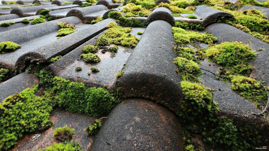 Chez Gabard Couverture, chaque toit que nous prenons en charge devient le reflet d’un engagement : celui de l’excellence, de la rigueur et du savoir-faire artisanal au service des biens les plus exigeants. Basée à Challans, notre entreprise s’est imposée comme une référence de confiance auprès d’une clientèle attachée à la qualité, à la discrétion et au respect absolu des standards les plus élevés. Que vous soyez propriétaire d’une demeure de caractère, d’une villa contemporaine ou d’un patrimoine familial, nous intervenons avec la même exigence d’élégance, de précision et de durabilité. Gabard Couverture, c’est aussi une promesse concrète : celle d’une garantie décennale systématique, d’un déplacement gratuit et sans engagement, et d’une équipe hautement qualifiée, visible sur le terrain dans des véhicules floqués à notre image : sobres, professionnels, et dignes de la confiance que nos clients nous accordent.