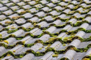 Artisan couvreur réalisant le nettoyage et l'entretien d'une toiture en tuiles en Vendée.